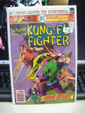 Kung-Fu Fighter #10